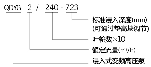 QDYG系列浸入式變頻高壓泵型號(hào)含義